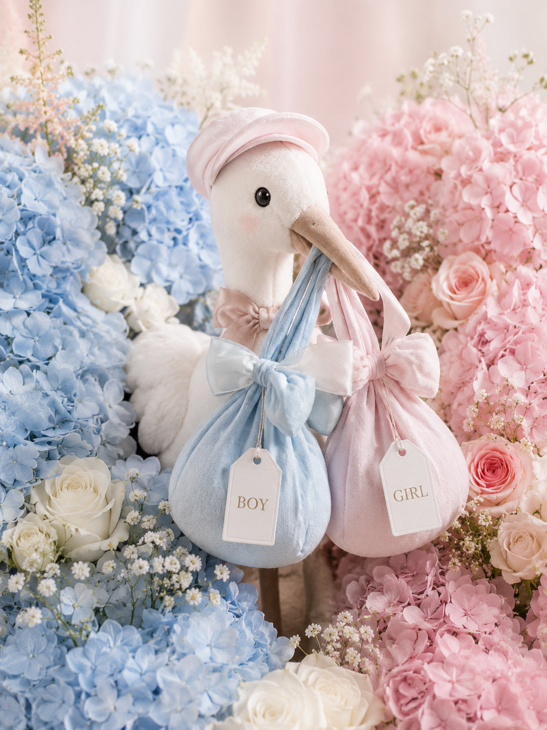 Gender Reveal