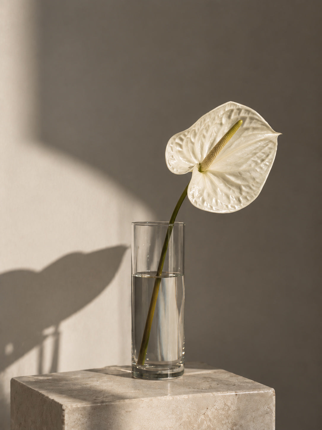 Flowers in Vases
