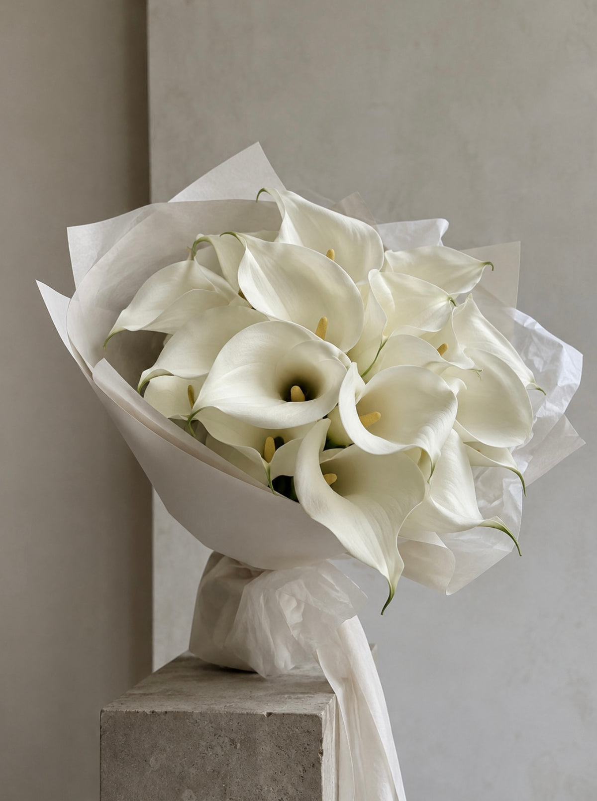Calla Blanc