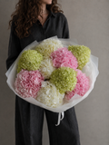 Hydrangea Étude